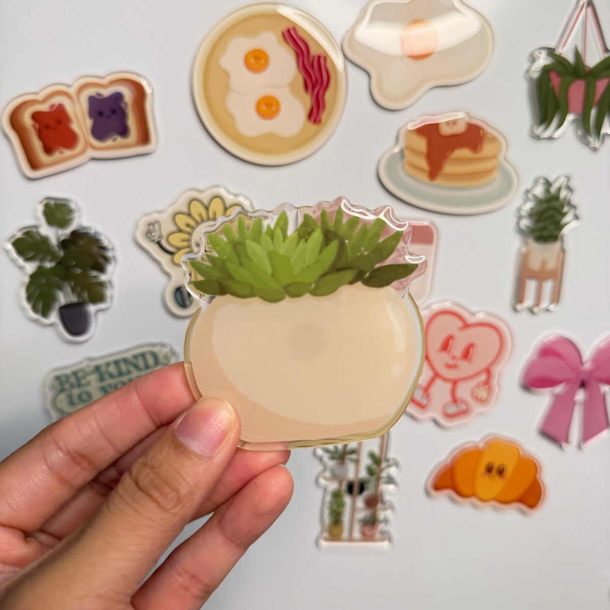 Succulent Plant Fridge Magnet