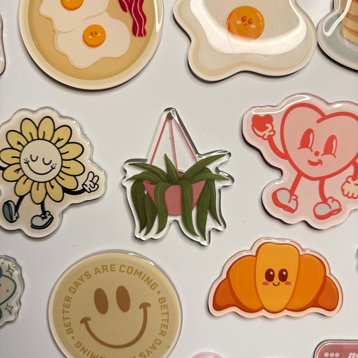Hanging Plant Fridge Magnet