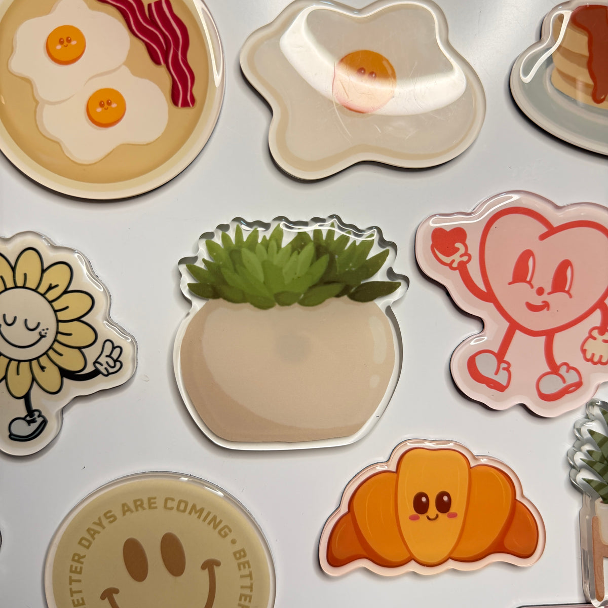 Succulent Plant Fridge Magnet